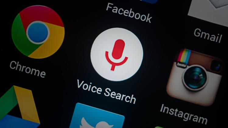 Voice search optimization