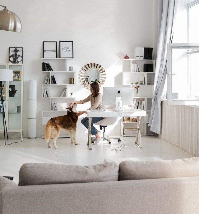 Woman in home office petting a dog