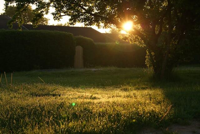 Sunset on backyard