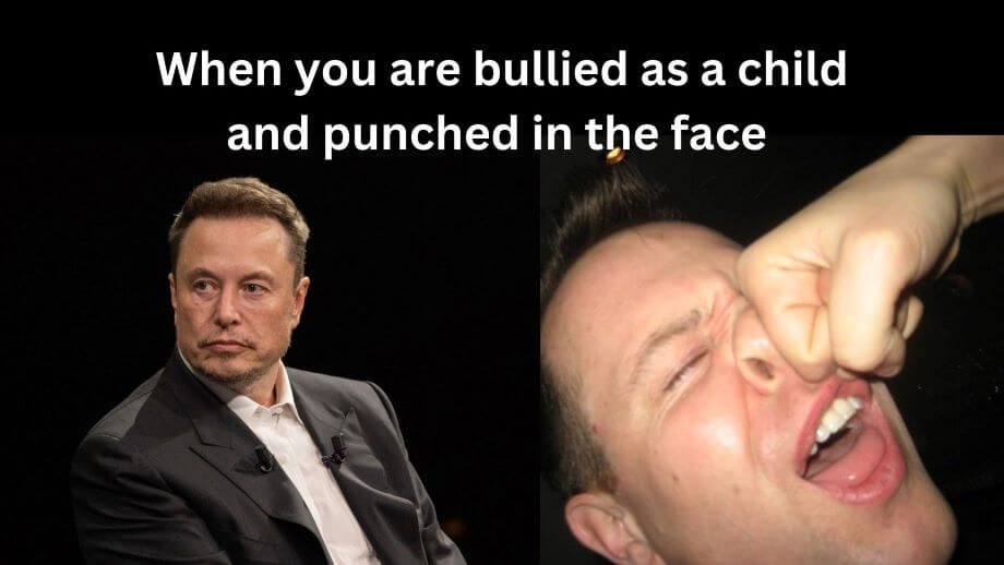 Elon Musk being punched in the face. When leaders suffer from bullying