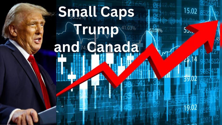 Trump’s Return: What It Means for Small Stocks and The Canadian Market