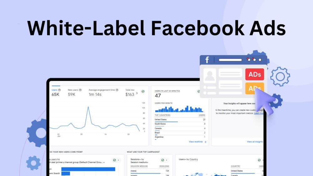 Understanding the Analytics Advantages of White-Label Facebook Ads for Agencies