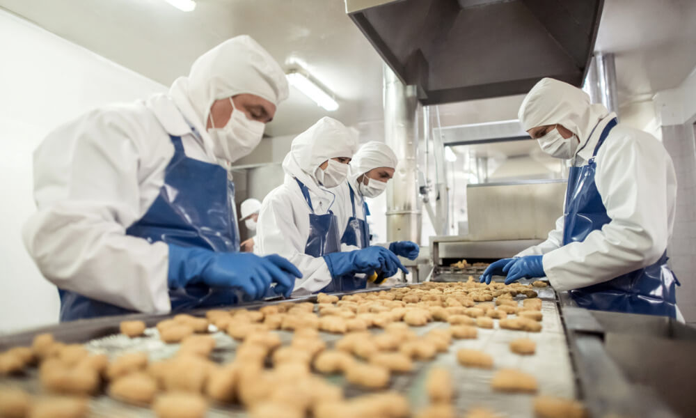 The Future of Food Processing Jobs: Trends and Opportunities in the Industry